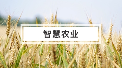 智慧農業(yè)