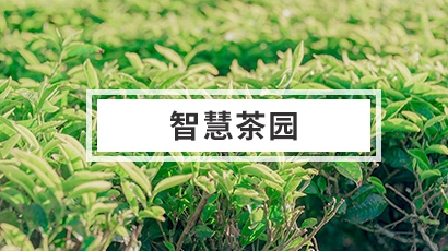 智慧茶園解決方案