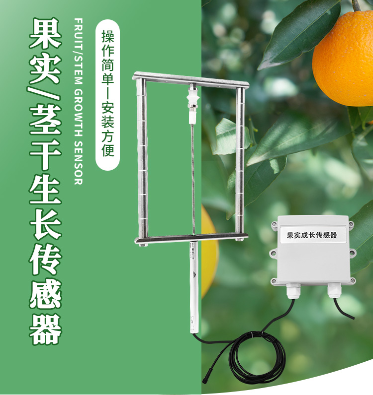 果實生長檢測儀